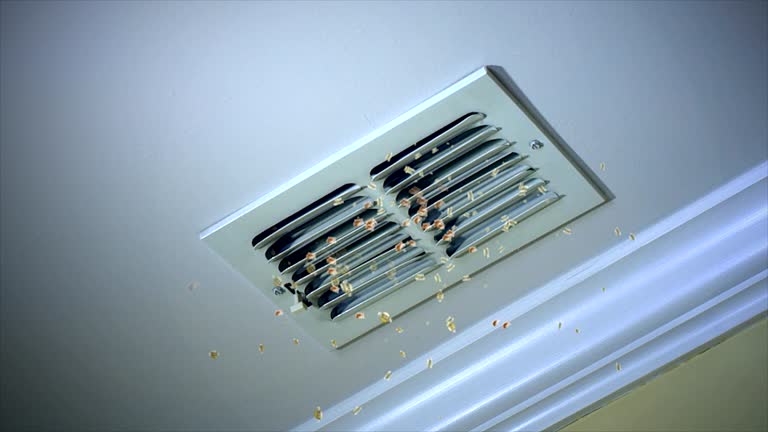 Best Emergency Air Duct Cleaning  in Triangle, VA