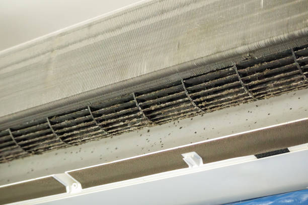 Best Professional Duct Cleaning Services  in Triangle, VA